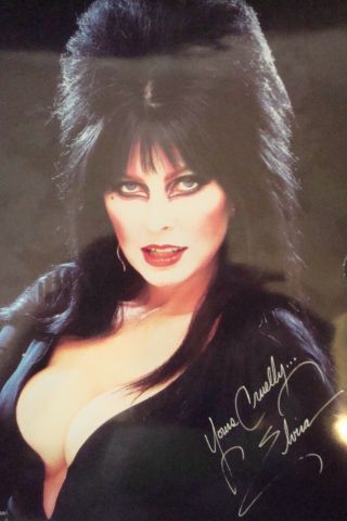 1985 " Elvira - Mistress Of The Dark " Signed 8x10 Photo Davis Goldner P&p Prod.