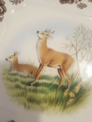 Spode Woodland Square Handled Cake Plate with Mule Deer - 5