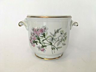 Vintage Richard Ginori Primavera Maveta 65 Floral Porcelain Gilded Cachepot 4 "