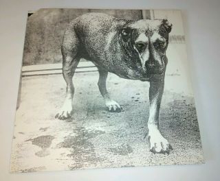 Alice In Chains Three Legged Dog Vinyl 1995 Release Columbia Near