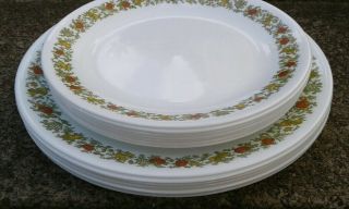 Set Of 14 Corelle Spice Of Life 7 Dinner Plates,  7 Luncheon Plates Mushrooms