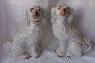 Antique Staffordshire King Charles Spaniels 12 " Tall Dog Statues Figurines Rare