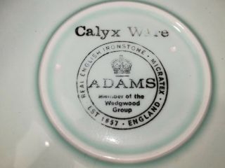 ADAMS China CALYX WARE Singapore Bird - Flat Tea Cups & Saucers Vintage Set of 8 8