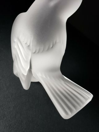 Vintage Lalique Crystal Sparrow Bird Paperweight 11606 Head Up,  Signed,  1946 - 77 6
