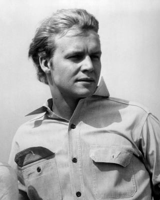 David Soul Handsome Early Pose Windswept Hair 11x14 Photo