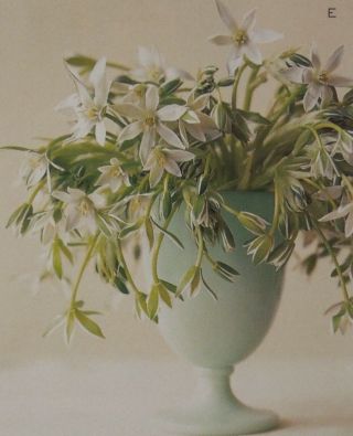 Martha Stewart By Mail Jadeite Green Milk Glass Fenton Pedestal Vase