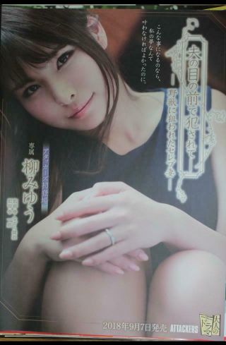 Avh1031 Yanagi Miyuu Japanese Idol Promotional Dvd Release Poster