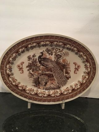 Burleigh Ware Large Oval Peacock Platter Brown/white Burgess & Leigh 16 "