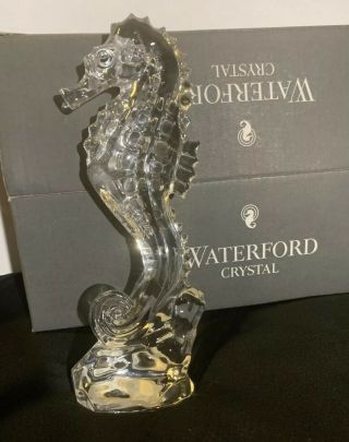 Waterford Seahorse Crystal Figurine 7.  5 " 108507 Made In Ireland W/ Box