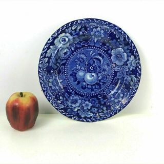 Historic Blue/ Flow Blue Floral Fruit Plate 19thc Staffordshire Stubbs Longport