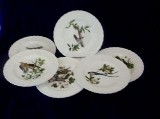 Alfred Meakin Audubon Birds Of America 9 " Dinner Plates Set Of 6