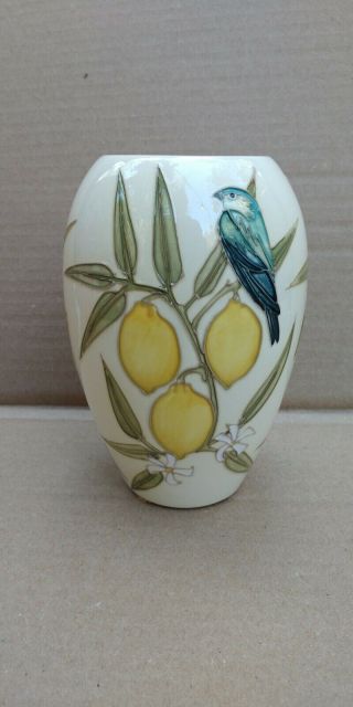 Vintage Moorcroft Pottery Budgerigars Bird & Lemon Tree Vase Sally Tuffin