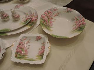 Royal Albert Blossom Time 3 Dishes - For Coleen