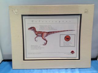 Vintage 1997 Jurassic Park The Lost World Velociraptor Print 14 " X 11 "