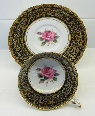 Paragon Pink Cabbage Rose,  Black And Gold Border,  Wide Mouth Tea Cup And Saucer