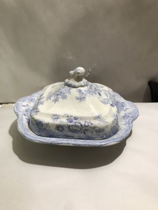 1830s Barkers & Kent Transferware Blue Asiatic Pheasant Serving Bowl Covered