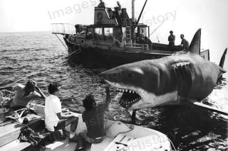 8x10 Print Director Steven Spielberg Jaws 1975 Jaw