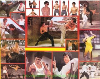Bruce Lee 1974 22x34 Inch Collage Poster One Stop Posters
