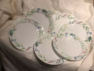 Set Of 7 Corelle My Garden Dinner Plates 10 1/4 Inches Blue Pink Yellow Flowers
