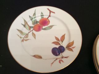 Royal Worcester Fine Porcelain Evesham Gold 10 " Round Dinner Plates Set/4