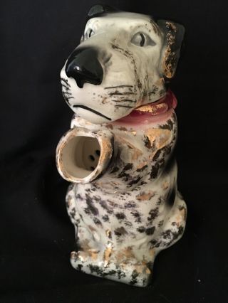 VINTAGE E&R ERPHILA Fox Terrier Dog Figural Tea Pot Ceramic Pitcher Germany 7