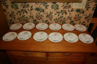 12 - Vintage Theodore Haviland (york) Apple Blossom Bread Plates (6 - 1/2 ")