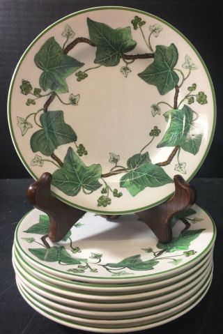 Vintage Set Of (8) Wedgwood Napoleon Ivy 5.  75 " Bread Plates Queen 