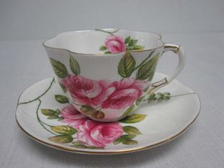 Vintage Shelley Rambler Rose 13671 Dainty Shape Tea Cup & Saucer