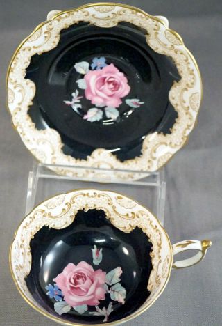 Vintage Paragon Teacup & Saucer Black On White Pink Rose W/gold Gilt