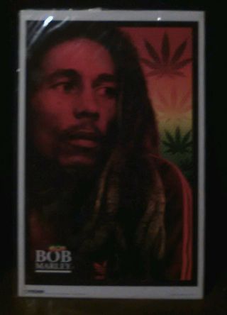Bob Marley,  Grateful Dead,  Bob Dylan,  Ramones,  B52s Posters