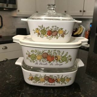 Set Of 3 Corning Ware Spice Of Life Casserole Dishes W/2 Glass Lids & Vinyl Lid