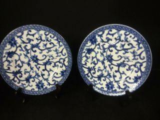 Ralph Lauren Set Of 2 Mandarin Blue 8 1/2 " Salad Plates Blue & White Floral