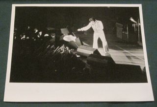 Elvis Presley 8 X 10 B/w Concert Photo Scarf Thrown 1970 