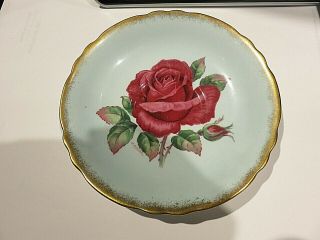 Paragon Red Rose Light Blue Orphan Saucer Signed R.  Johnson Double Warrant