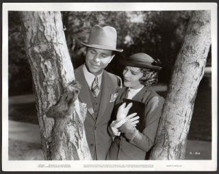 Dick Powell & Ruby Keeler In Colleen 1936 Vintage Photo Stuffed Squirrel On Tree