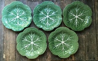 5 Vintage Bordallo Pinheiro Portugese Majolica 9 1/4” Cabbage Leaf Salad Plates