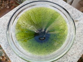 Mid Century Modern Green Clear Art Glass Bowl Display Dish 8 " Murano Chalet
