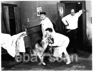 Stan Laurel And Oliver Hardy Comedy Team 8x10 Photo Lhh - 1