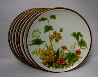 Mikasa China Fresh From The Garden C9060 Pattern Set Of 7 Dinner Plates 10 - 3/4 "