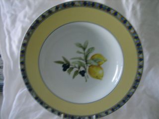Royal Doulton Carmina Cucina 9 - 1/2 " Rim Soup Bowls Fine Porcelain Set Of 6