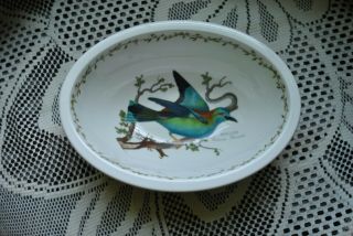 Portmeirion Birds Of Britain Susan Williams - Ellis Salad/serving Bowl Oval Roller