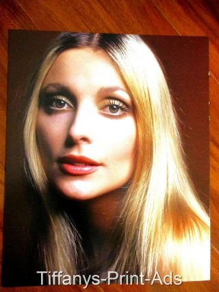 Sharon Tate Valley Of The Dolls Actress 1 Page Portrait Clipping Photo