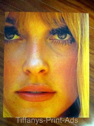SHARON TATE Valley of The Dolls Actress 1 page Portrait CLIPPING PHOTO 2