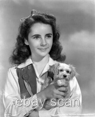 Elizabeth Taylor As A Child Star Holding A Puppy 8x10 Photo Dog 4