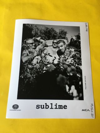 Sublime Press Photo 8x10 Brad Nowell,  Bud Gaugh,  Eric Wilson,  Gasoline Alley Mca