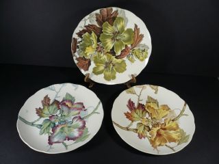 Antique 1888 Brown Westhead Moore Set Of 3 Hibiscus Flowers Dinner Plates