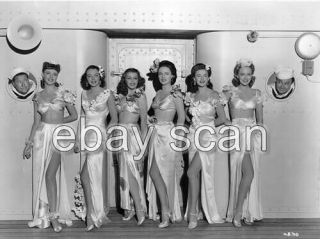 Marguerite Chapman And Starlets Leggy Cheesecake 8x10 Photo 6