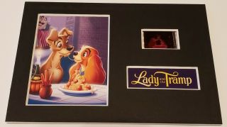 Film Cell 35mm Framed & Matted Disney Lady And The Tramp