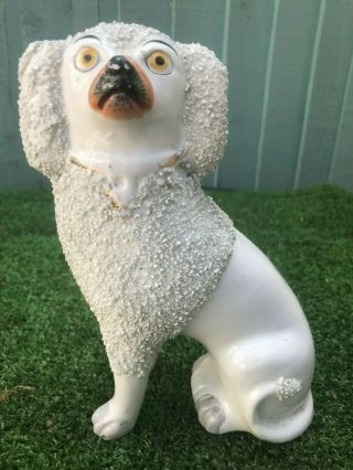 Mid 19thc Staffordshire Poodle Dog With Separate Front Legs C1860s