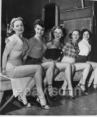 Jean Peters Mitzi Gaynor And Friends Leggy Cheesecake 8x10 Photo